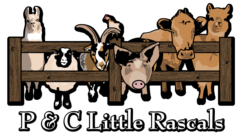 P & C Little Rascals LLC
